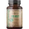 Bio Kelp Jod von CDF Sports & Health Solutions