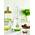 Smoothie Maker von Kenwood