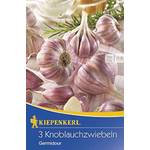 Kiepenkerl 611436 Knoblauch Germidour