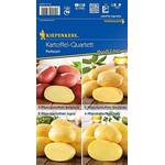 Kiepenkerl Pflanzkartoffeln