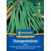 Profi-Line Stangenbohnensamen von Kiepenkerl