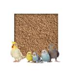 Kieskönig Buchenholzgranulat Vogelsand