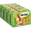 Multipack Jagdschmaus in Sauce von Kitekat