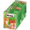 Bunte Vierfalt in Sauce von Kitekat