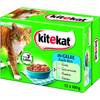 Fisch-Box in Gelee von Kitekat