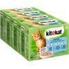 Multipack Fisch-Box in Gelee von Kitekat