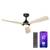 Klarstein Fiji Flow Deckenventilator