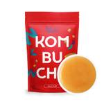 Fairment Kombucha-Pilz