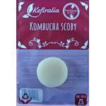 Kefiralia Kombucha Scoby