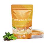 Kombuchic Kombucha Scoby Starter-Set