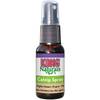 Catnip Spray von Kong Naturals