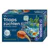 Urzeitkrebse von Science4you