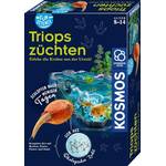 Kosmos Triops züchten