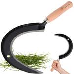 Kotarbau 5907465944816