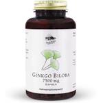 Kräuterhandel Sankt Anton Ginkgo Biloba 7.500