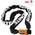 Evolution Serie 4 1016 von Kryptonite