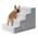 Hundetreppe von Ksiia