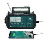 Mesqool 1009ProDAB