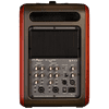 Synapse Personal PA von L.R. Baggs