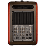 L.R. Baggs Synapse Personal PA