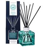 Lampe Berger Cube Anti Badgerüche No1