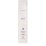 L'ANZA Healing Smooth Glossifying Shampoo