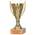 Sieger Pokal von Larius