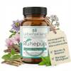 Ruhepuls von Lebensklang