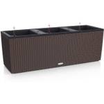 Lechuza Trio Cottage 15005