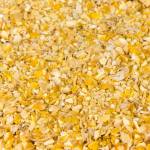 Leimüller Kükenstarter