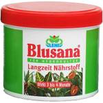 Leni Blusana für Hydrokultur