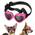 Sonnenbrille für Kleine Hunde von Lewondr