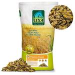 Lexa Vitalmix Classic