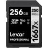 Professional 1667x LSD256CB1667 von Lexar