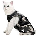 Lianzimau Katzenbody