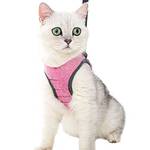 Lianzimau Katzengeschirr und Leine