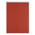 Lichtblick Thermo-Rollo