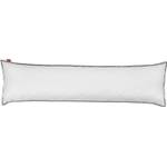 Liebling 19000004495