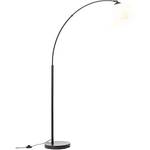 Lightbox LB00001497