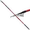 Canna Discovery Match Bombart von Lineaeffe