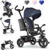 Haari 2in1 Dreirad von Lionelo
