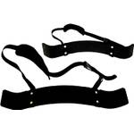 Lisaro Bizeps Isolator Trizeps 