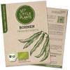 Bio Stangenbohnen von Little Plants