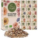 Little Plants Blumen Samen-Set