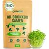 BIO Brokkoli-Sprossen Samen von Livona