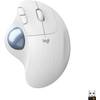 ERGO M575 von Logitech
