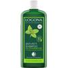 Anti-Fett-Shampoo von LOGONA Naturkosmetik