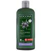 Anti-Schuppen Shampoo von LOGONA Naturkosmetik
