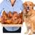 Lovely Dog Schweineohren