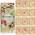 Bio mini Tomatensamen Set von Loveplants